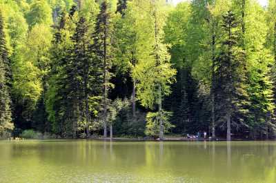 Torkul Yaylası ve Göleti